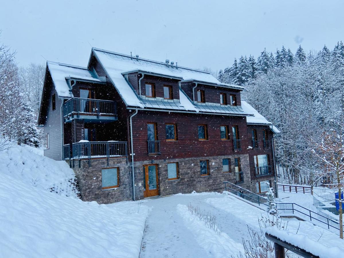 Utulny Apartman V Srdci Krkonos Se Saunou Jablonec nad Jizerou Εξωτερικό φωτογραφία